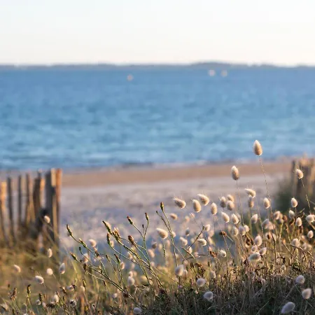 Les Du Men Du-1 By Interhome Apartment Carnac